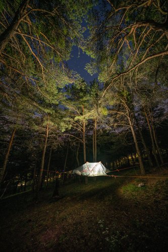 Tente suspendue dans la pinède la nuit